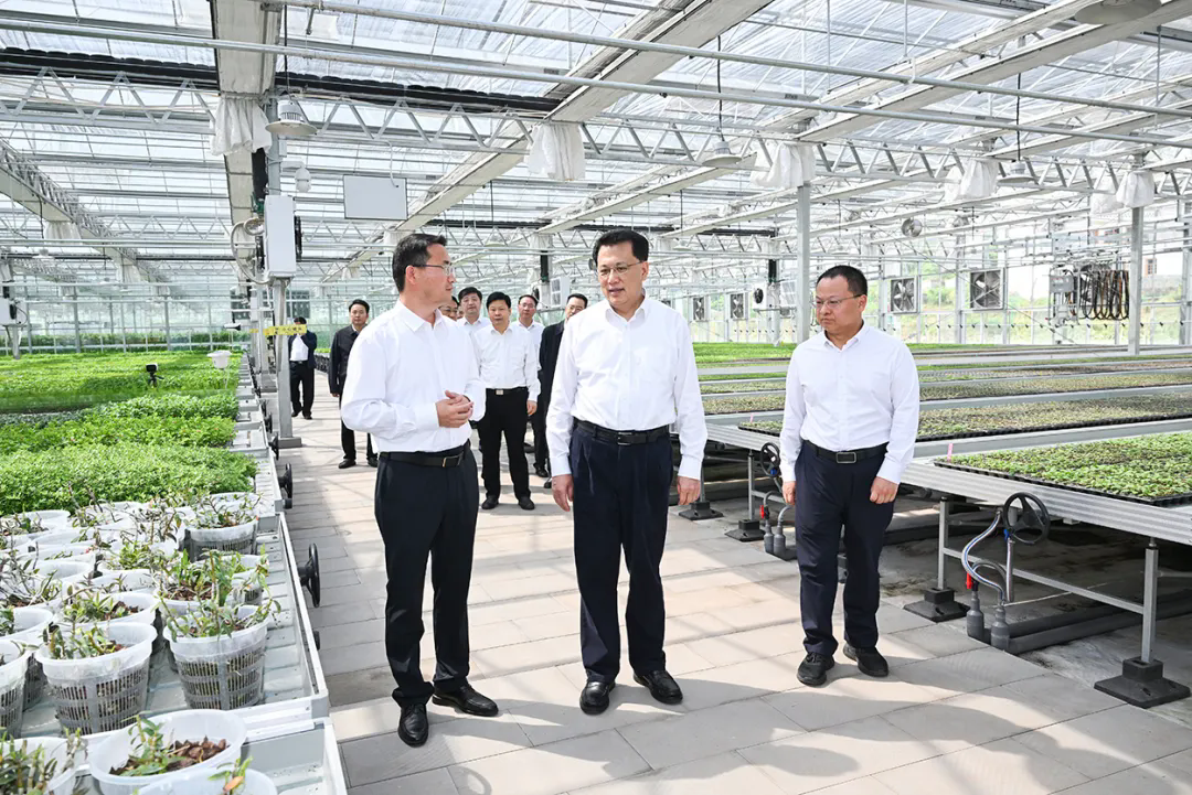 db8294d9d401931806239c65a3373512